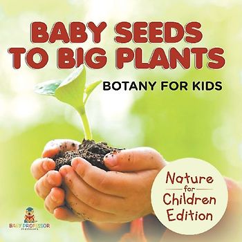 Baby Seeds To Big Plants