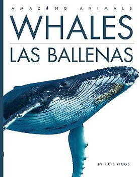 Whales / Las Ballenas