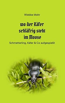 Wo der Käfer schläfrig steht im Moose