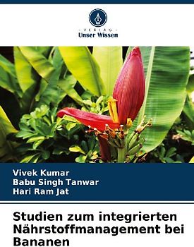 Studien zum integrierten Nährstoffmanagement bei Bananen