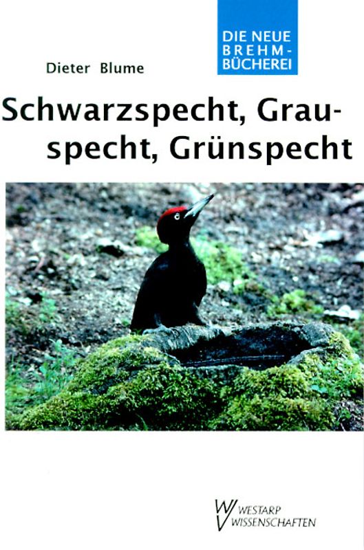 Schwarz-, Grau- und Grünspecht