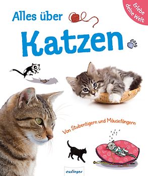 Erlebe deine Welt: Alles über Katzen, Erlebe deine Welt
