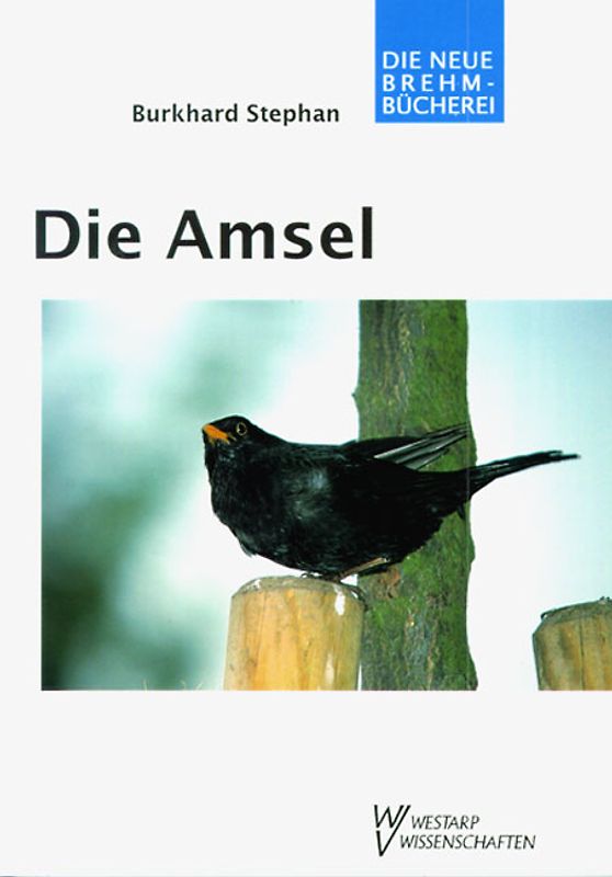 Die Amsel