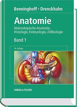 Anatomie