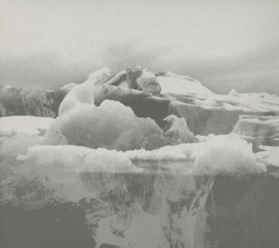 If These Trees Could Talk - The Bones of a Dying World