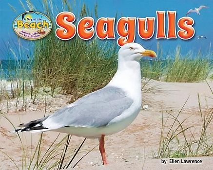 Seagulls