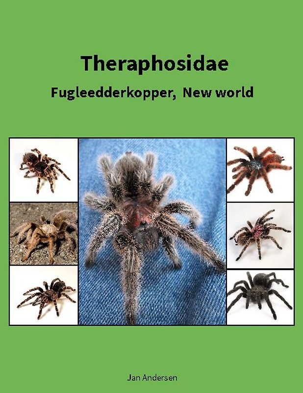 Theraphosidae