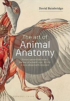 The Art of Animal Anatomy: All Life is Here, Dissected and Depicted