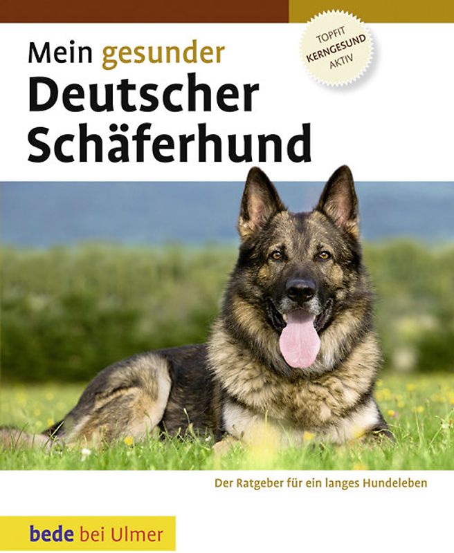 Mein gesunder Deutscher Schäferhund