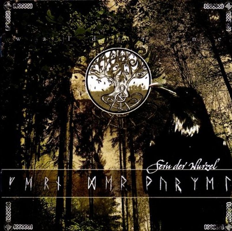 Waldträne - Fern der Wurzel