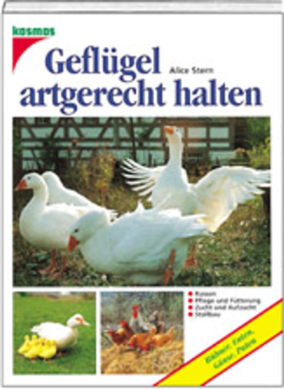 Geflügel artgerecht halten