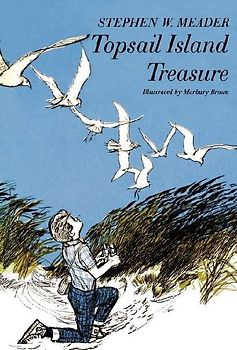 Topsail Island Treasure