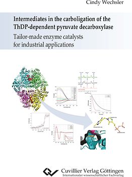Intermediates in the carboligation of the ThDP-dependent pyruvate decarboxylase