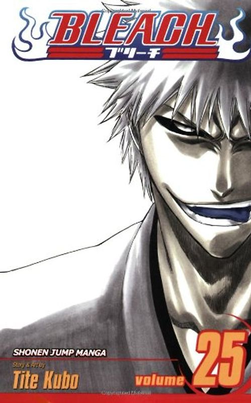 Bleach, Vol. 25: v. 25 - Tite Kubo