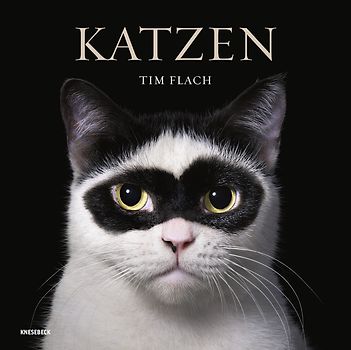 Katzen