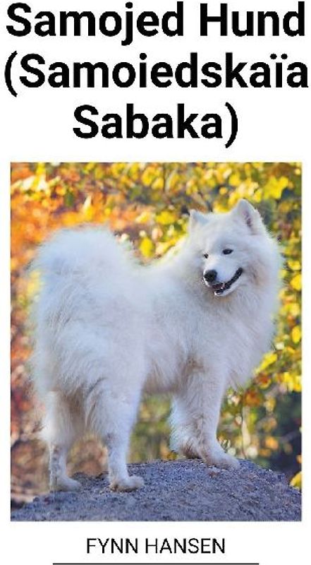 Samojed Hund (Samoiedskaïa Sabaka)