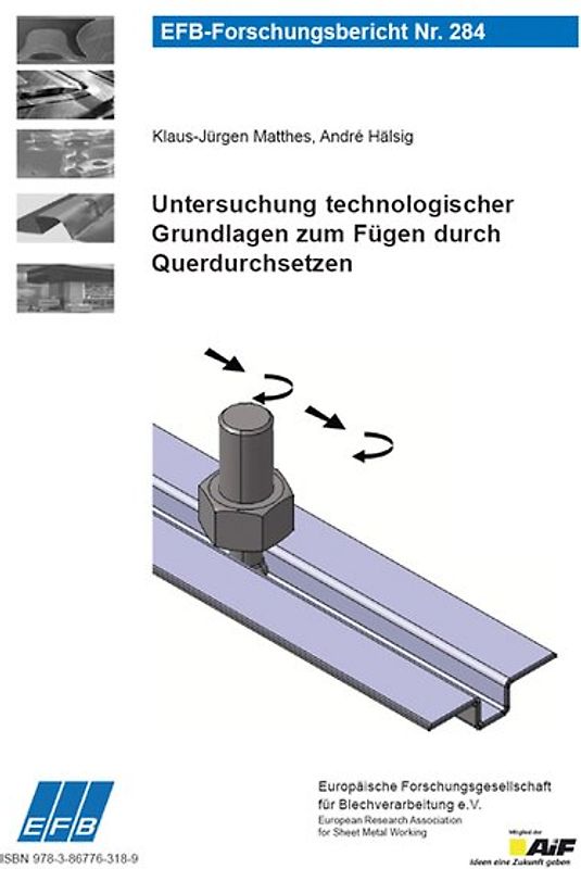 Untersuchung technologischer Grundlagen zum Fügen durch Querdurchsetzen