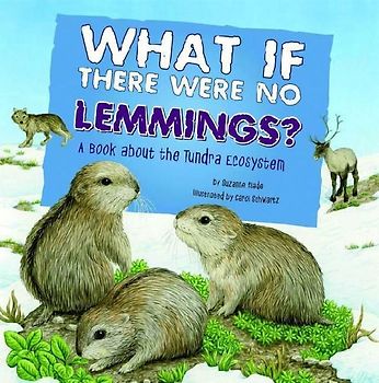 What If There Were No Lemmings?