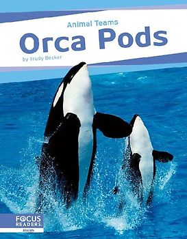Orca Pods
