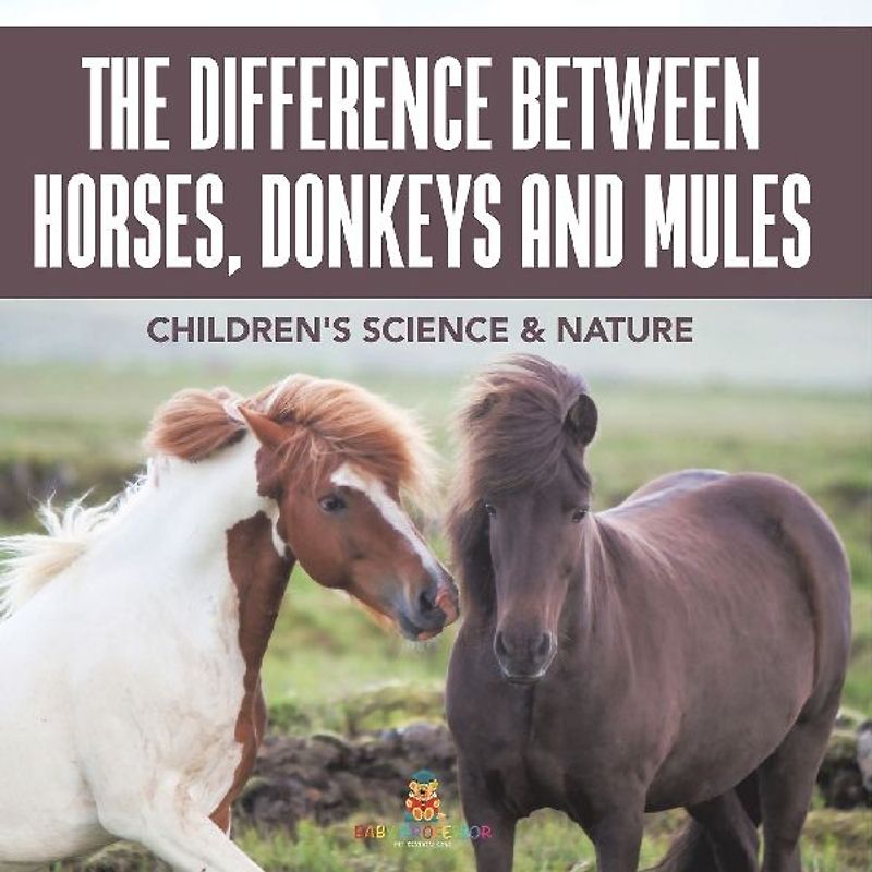 The Difference Between Horses, Donkeys and Mules | Children's Science & Nature