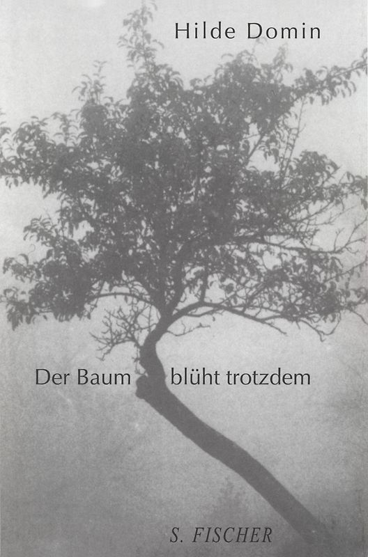 Der Baum blüht trotzdem