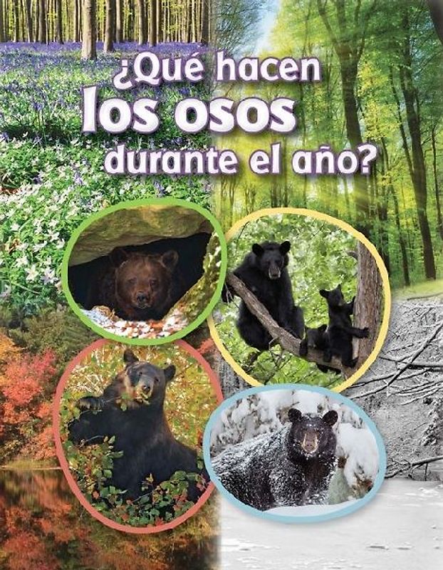 ¿Qué Hacen Los Osos Durante El Año?