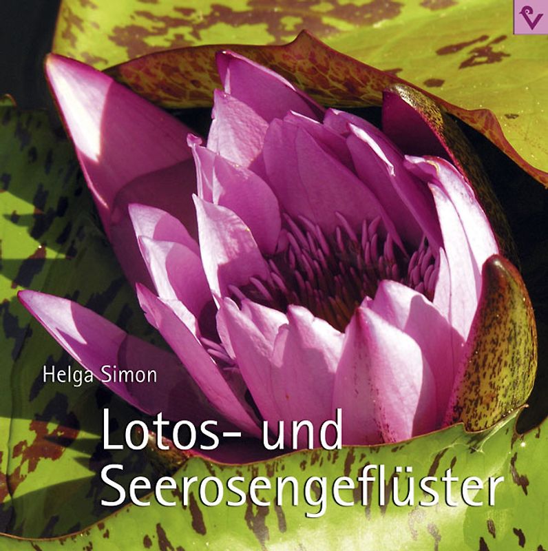 Lotos- und Seerosengeflüster