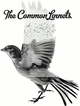 The Common Linnets - The Common Linnets
