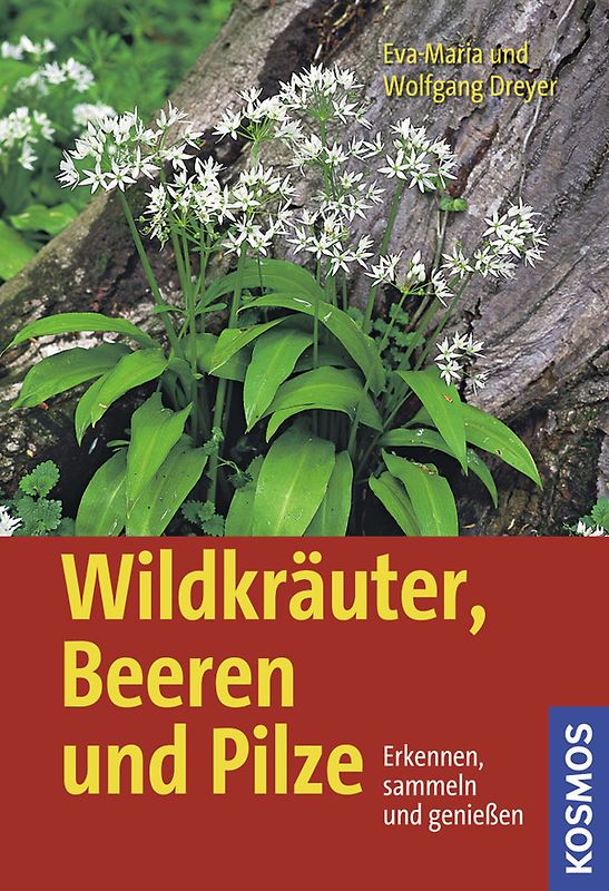 Wildkräuter, Beeren und Pilze