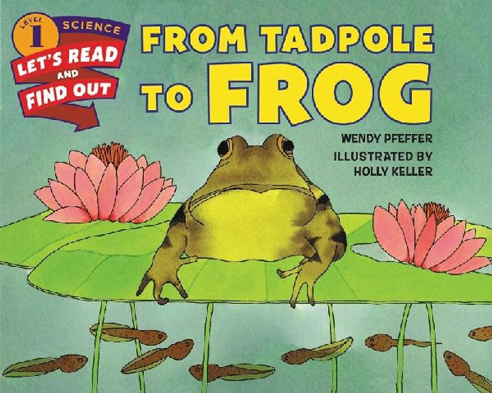 From Tadpole to Frog