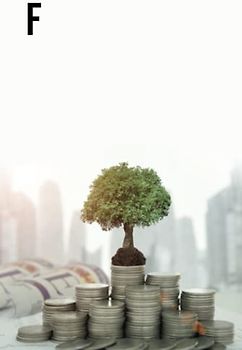 Fundamental Analysis for Beginners: Grow Your Investment Portfolio Like A Pro Using Financial Statements and Ratios of Any Business with Zero Investing Experience Required