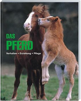 Das Pferd