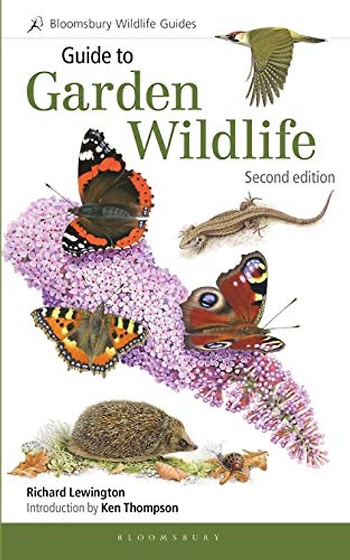 Guide to Garden Wildlife (2nd edition) (Bloomsbury Wildlife Guides)
