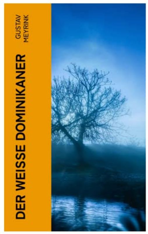 Der Weisse Dominikaner: Spiritueller Roman