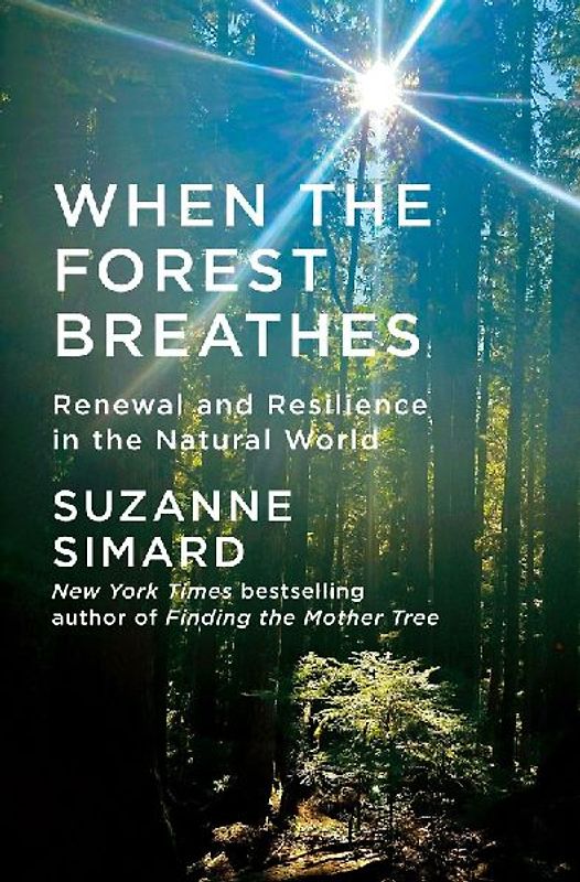 When the Forest Breathes