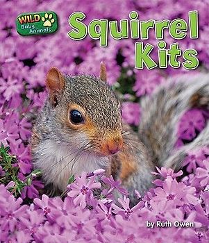 Squirrel Kits