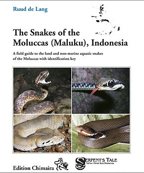 The Snakes of the Moluccas (Maluku), Indonesia