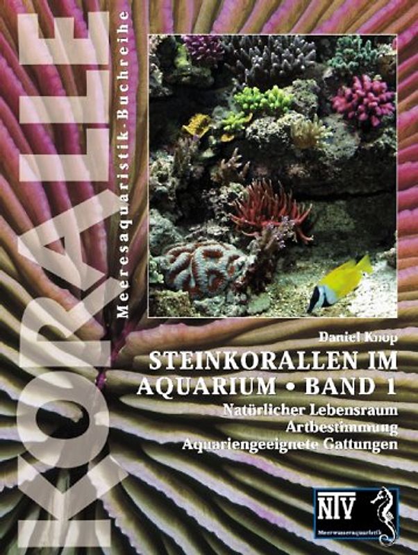 Steinkorallen im Aquarium