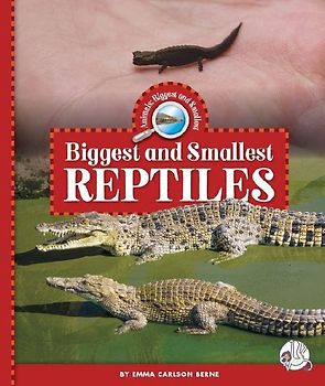 Biggest and Smallest Reptiles