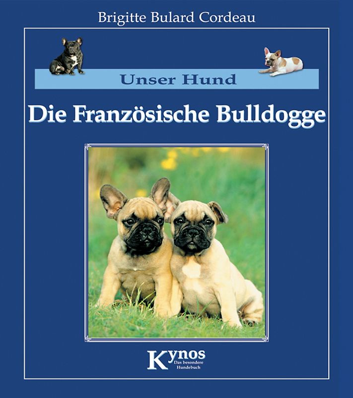 Die Französische Bulldogge