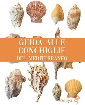 Guida alle conchiglie del Mediterraneo