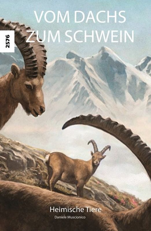 Vom Dachs zum Schwein
