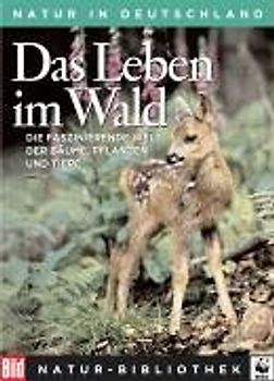 Das Leben im Wald