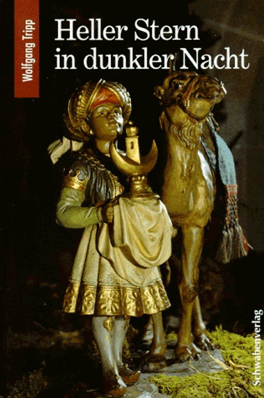 Heller Stern in dunkler Nacht