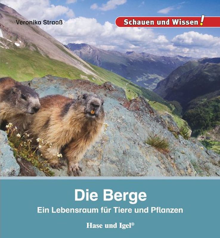 Die Berge