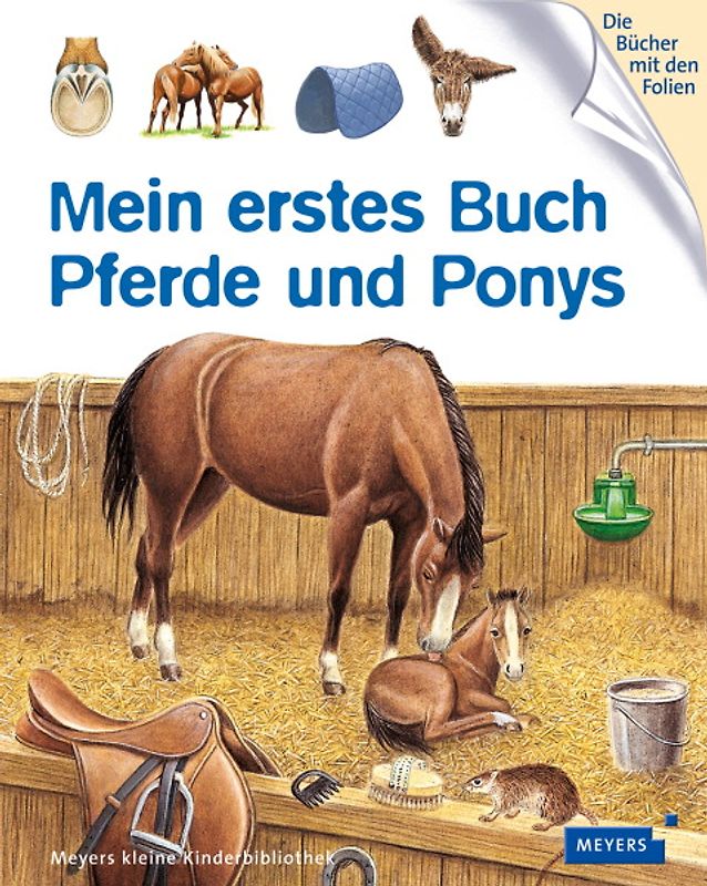Mein erstes Buch Pferde und Ponys
