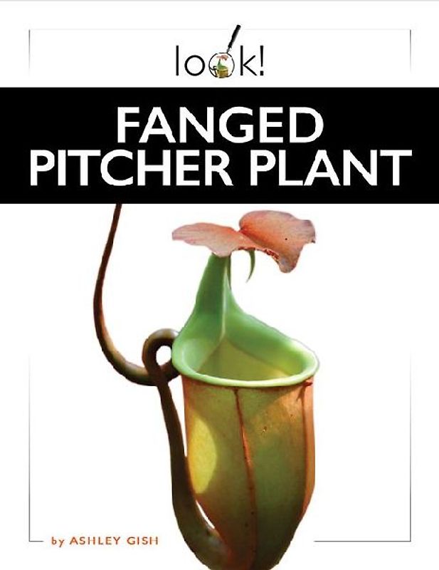 Fanged Pitcher Plant