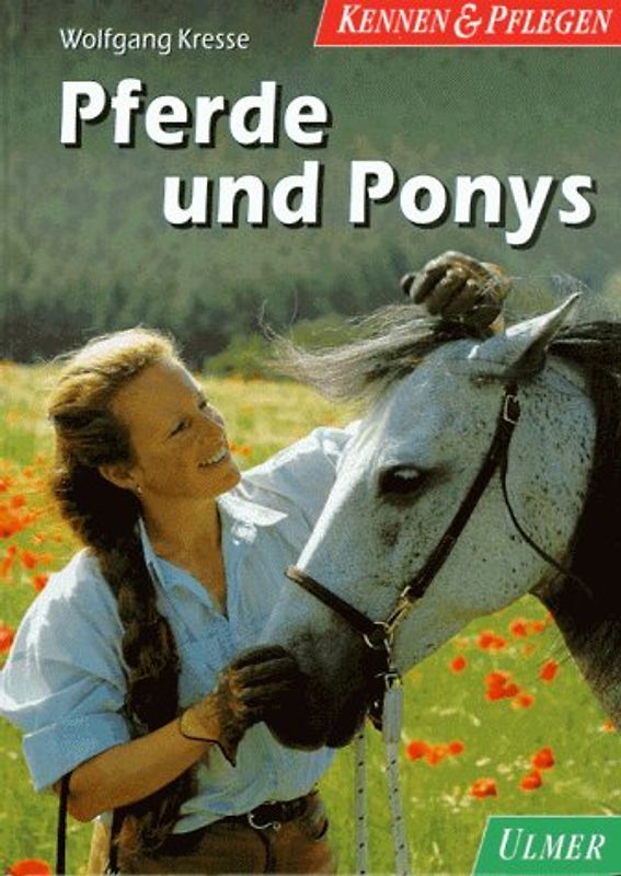 Pferde und Ponys