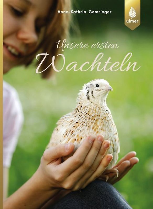 Unsere ersten Wachteln