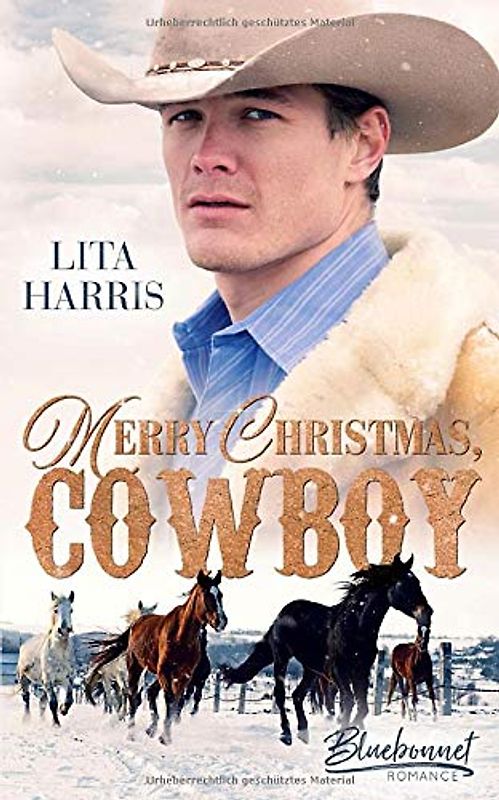 Merry Christmas, Cowboy (Bluebonnet Romance, Band 4)
